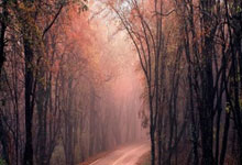 MetaMask: What it is, how it works, and what Reddit is actually saying