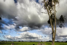 MetaMask: What it is, how it works, and what Reddit is actually saying