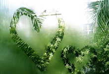 MetaMask: What it is, how it works, and what Reddit is actually saying