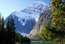 MetaMask: What it is, how it works, and what Reddit is actually saying