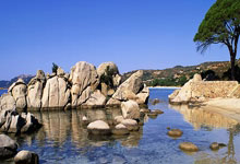 MetaMask: What it is, how it works, and what Reddit is actually saying